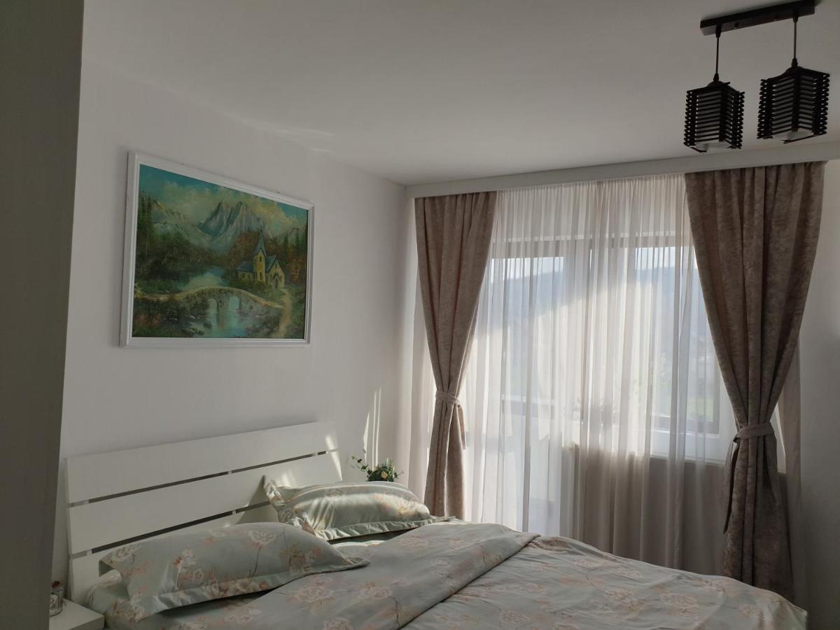 Casa Tomsa Bed & Breakfast Rozavlea Ngoại thất bức ảnh