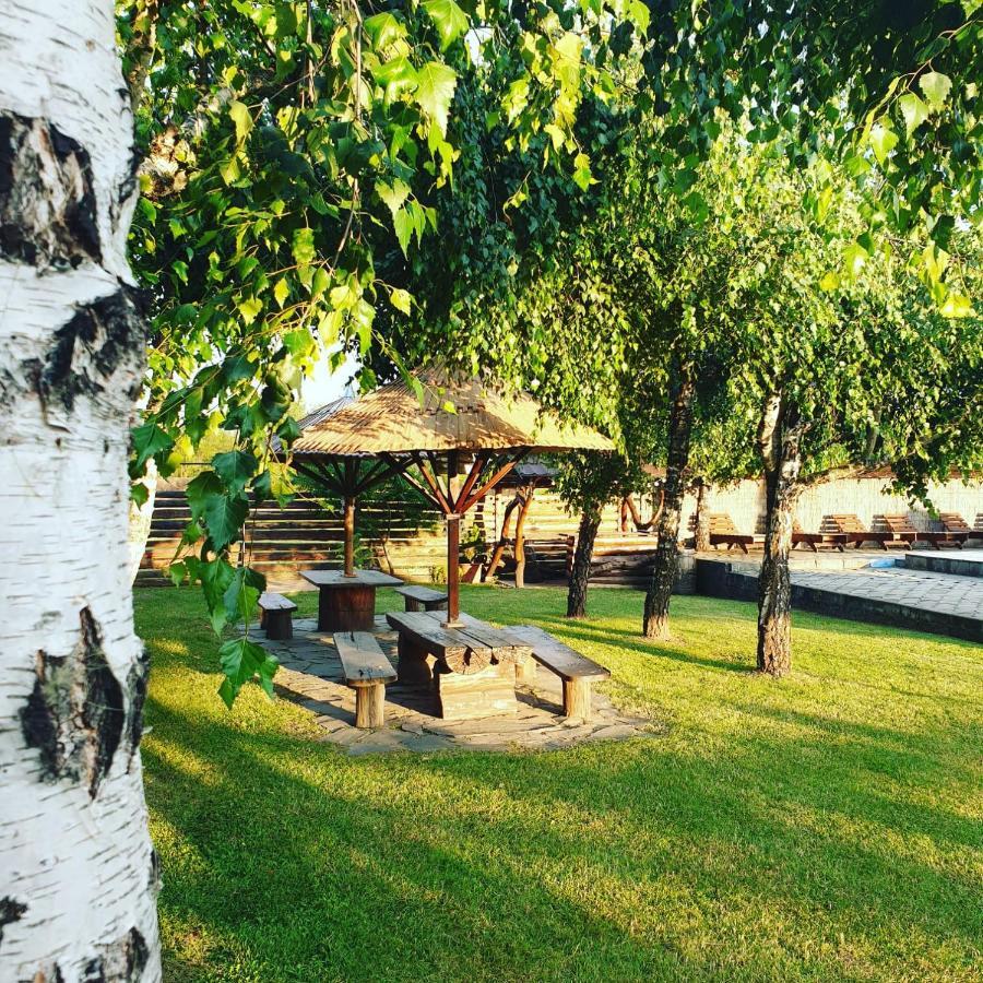 Casa Tomsa Bed & Breakfast Rozavlea Ngoại thất bức ảnh