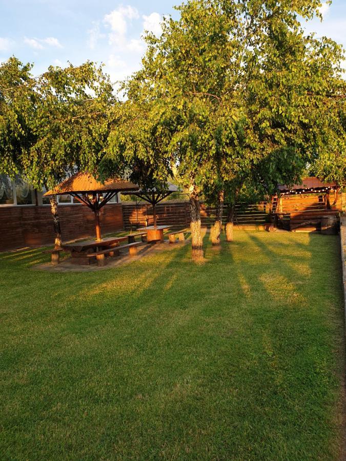 Casa Tomsa Bed & Breakfast Rozavlea Ngoại thất bức ảnh