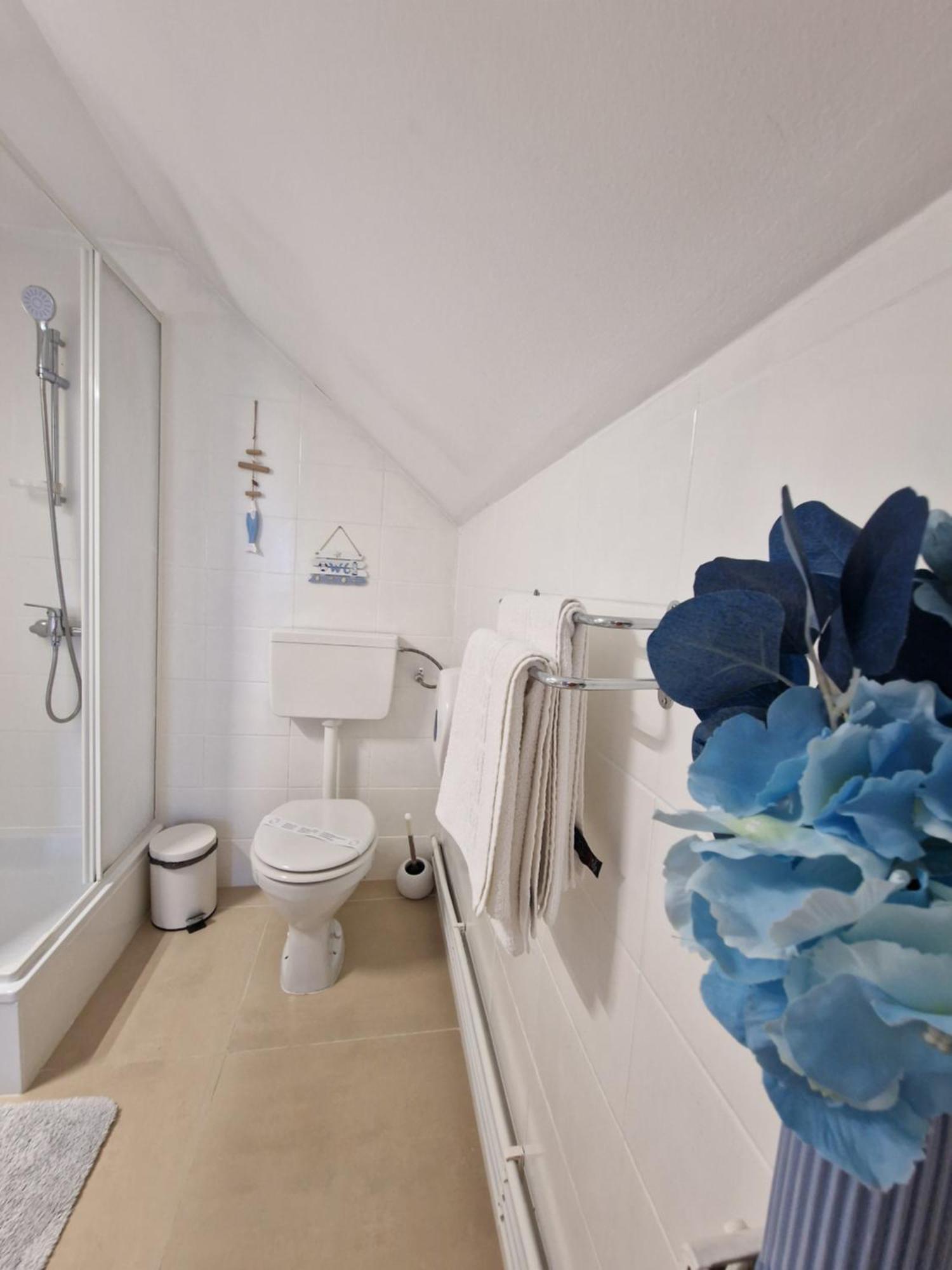 Casa Tomsa Bed & Breakfast Rozavlea Ngoại thất bức ảnh
